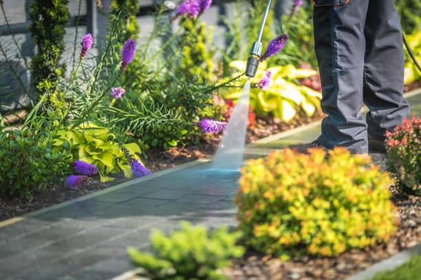 Best Winterizing Services  in Carrollwood, FL