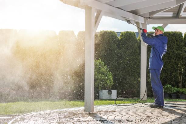 Best Sidewalk and Walkway Cleaning  in Carrollwood, FL