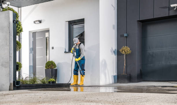 Best Paint Preparation  in Carrollwood, FL